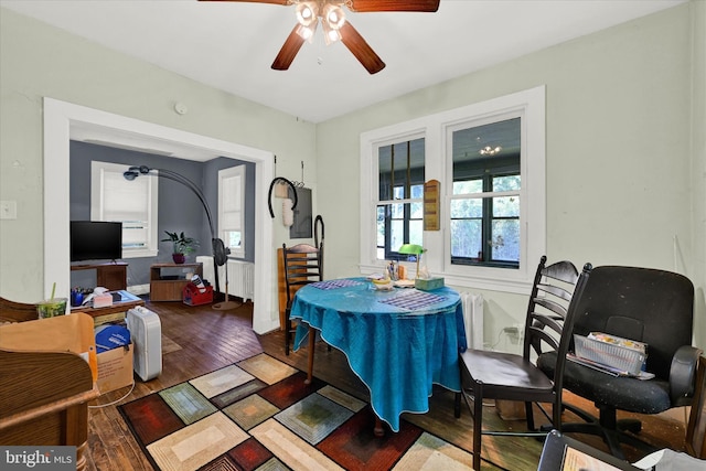 dining space with radiator, hardwood / wood-style flooring, and ceiling fan