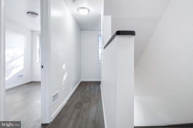 hallway with dark wood-type flooring