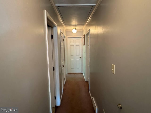 corridor with ornamental molding and dark colored carpet