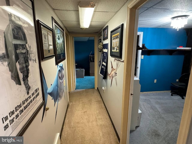 hallway with light colored carpet and a paneled ceiling