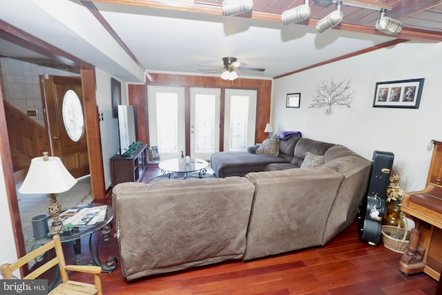 living room featuring dark wood-type flooring, crown molding, and ceiling fan