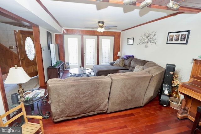 living room featuring ornamental molding, dark wood-type flooring, and ceiling fan