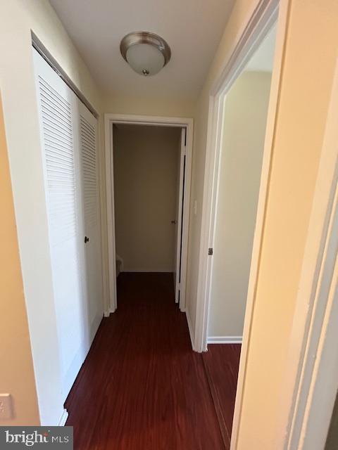 hallway with dark wood-type flooring