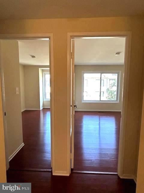 hallway featuring dark wood-type flooring and a wealth of natural light