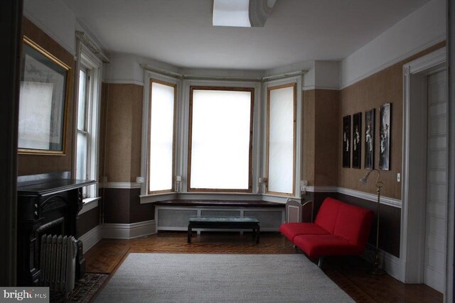 living area with radiator heating unit