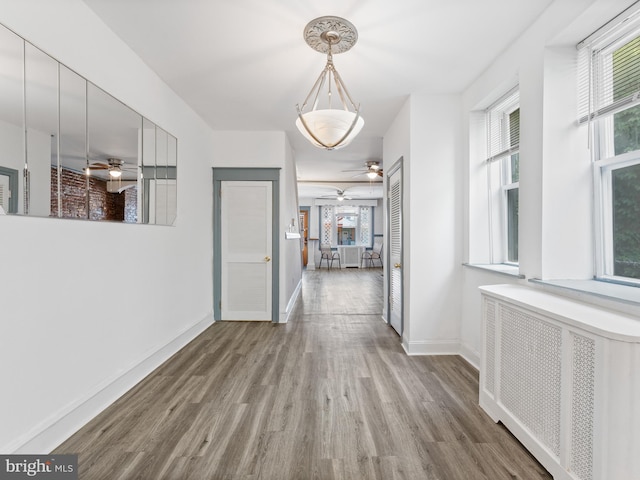 corridor featuring hardwood / wood-style floors and radiator