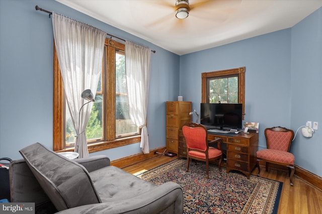 home office with plenty of natural light, ceiling fan, and hardwood / wood-style floors