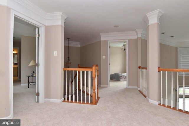 hall with decorative columns, carpet floors, and ornamental molding