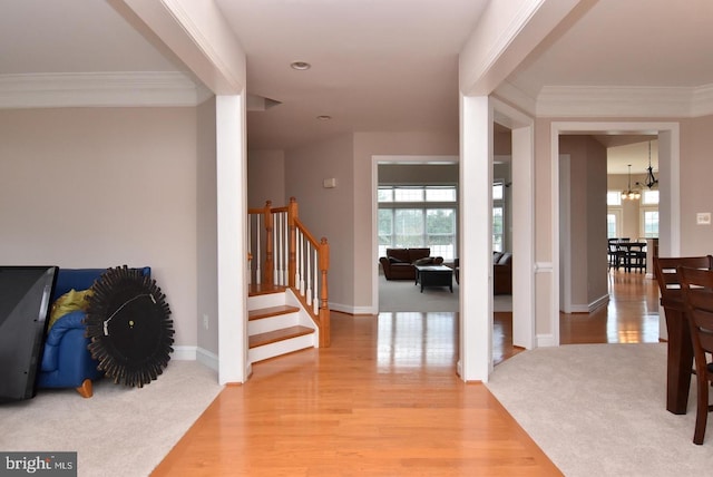 entryway with a chandelier, light carpet, and crown molding