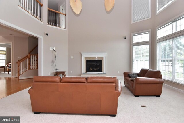 living room featuring wood-type flooring and a high ceiling