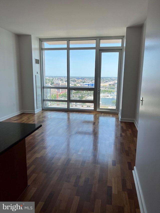 spare room featuring floor to ceiling windows and dark hardwood / wood-style flooring