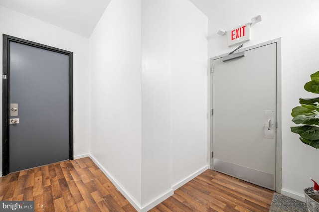 entryway featuring dark wood-type flooring