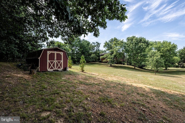 view of yard featuring a storage shed