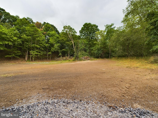 view of local wilderness