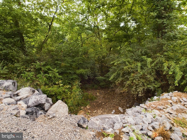 view of landscape