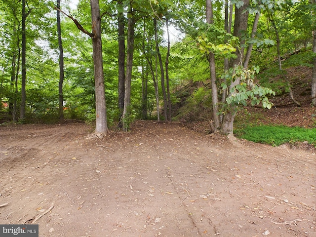 view of landscape