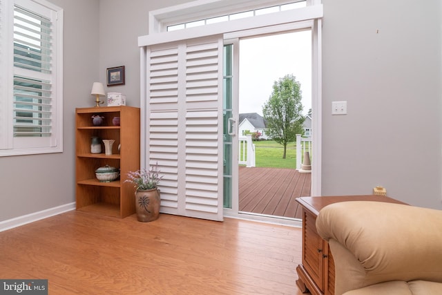 doorway to outside featuring light hardwood / wood-style flooring and a wealth of natural light