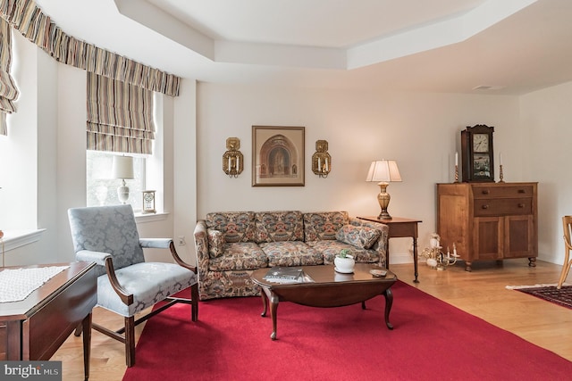 living room with light hardwood / wood-style floors and a raised ceiling