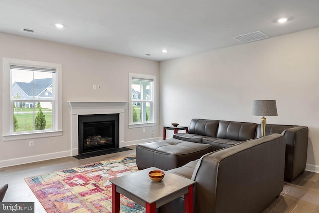 living room featuring wood-type flooring and a wealth of natural light