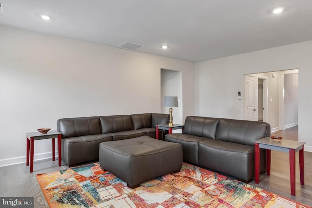 living room featuring wood-type flooring