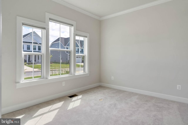 empty room with ornamental molding and light carpet