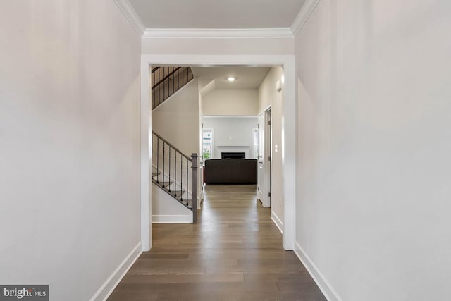 hall featuring crown molding and hardwood / wood-style flooring