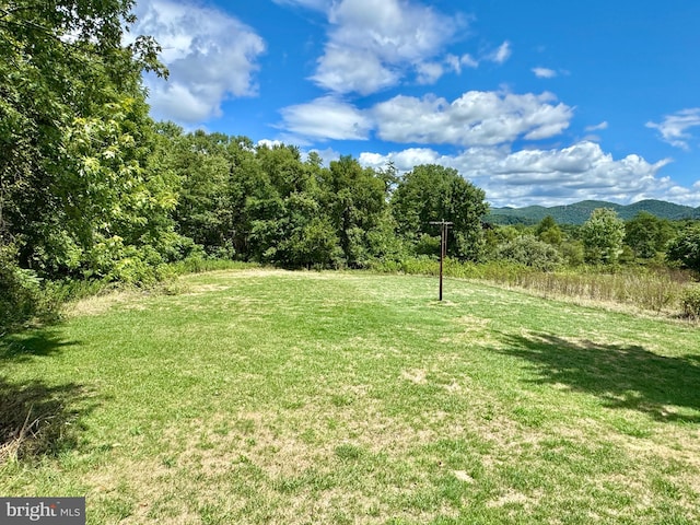 view of yard featuring a mountain view