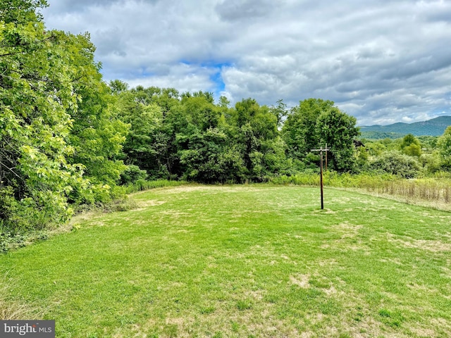 view of yard featuring a mountain view