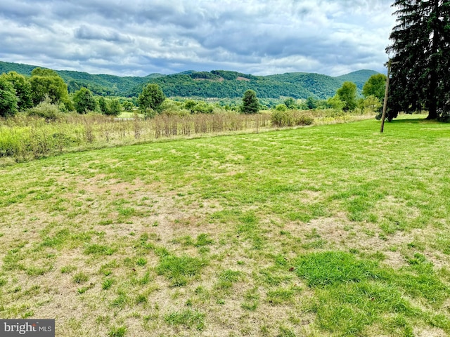 view of yard featuring a mountain view and a rural view