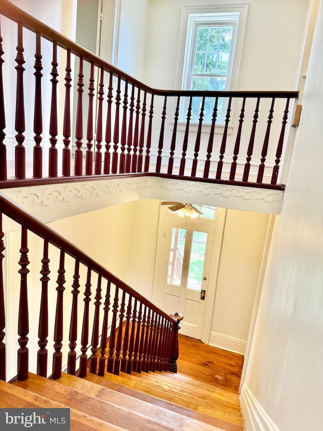 stairs featuring hardwood / wood-style flooring and a high ceiling