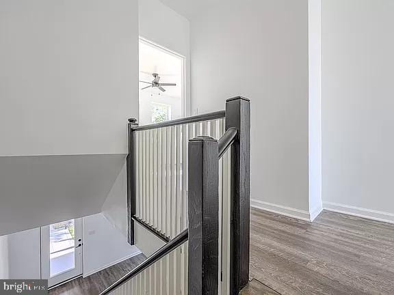 stairway with ceiling fan and wood-type flooring