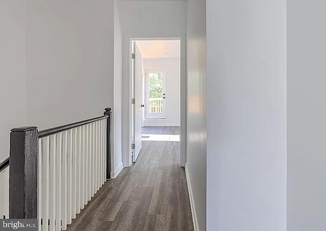 corridor featuring dark hardwood / wood-style floors