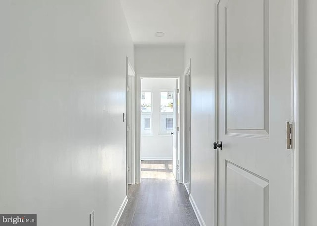 corridor featuring dark wood-type flooring