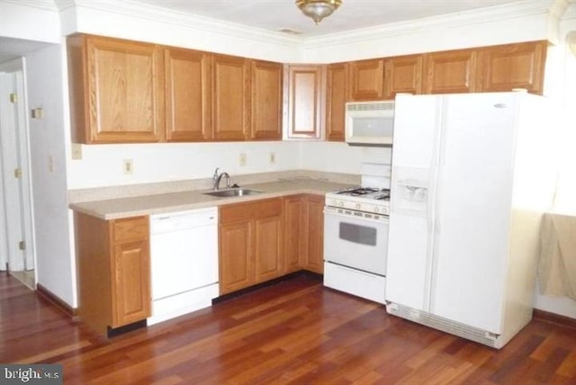 kitchen featuring dark hardwood / wood-style flooring, white appliances, sink, and ornamental molding