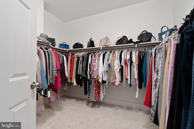 spacious closet featuring light colored carpet