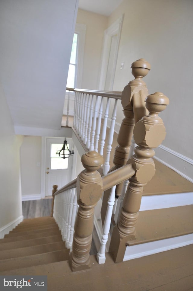 staircase featuring wood-type flooring