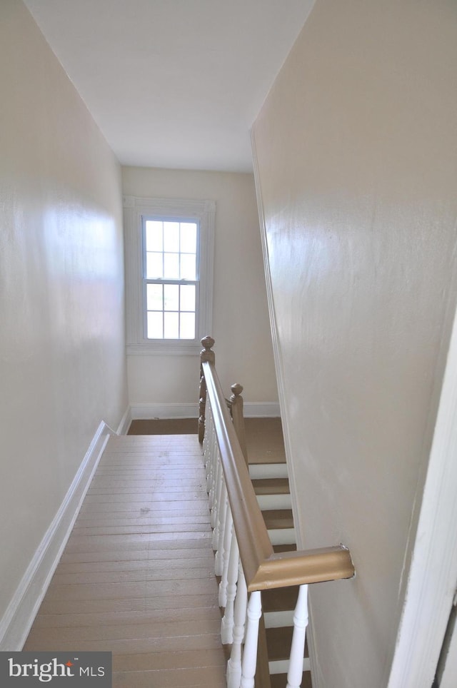 staircase featuring hardwood / wood-style flooring