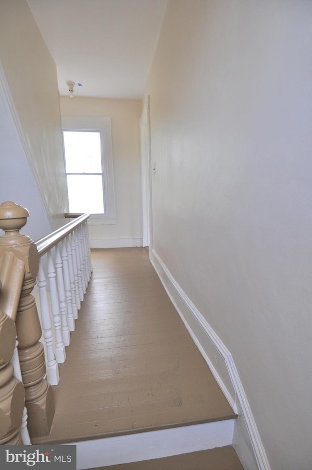 staircase with hardwood / wood-style floors