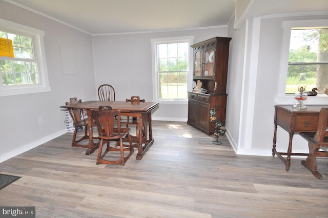 dining space featuring crown molding, a healthy amount of sunlight, and light wood-type flooring