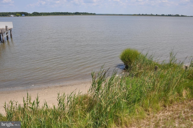 water view featuring a dock