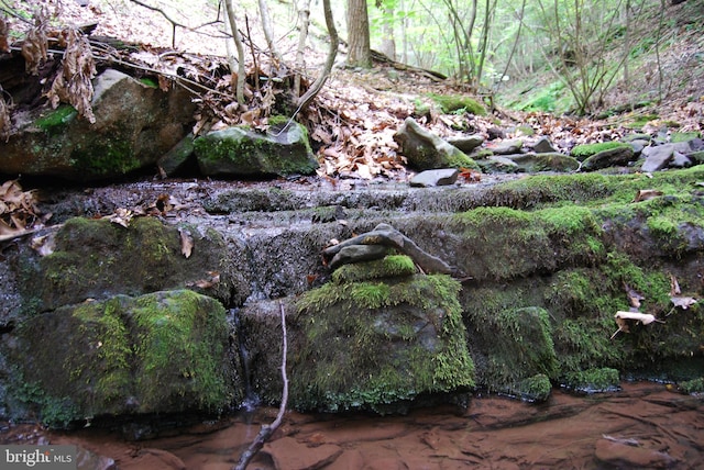 Listing photo 2 for Winterberry Dr, Moorefield WV 26836