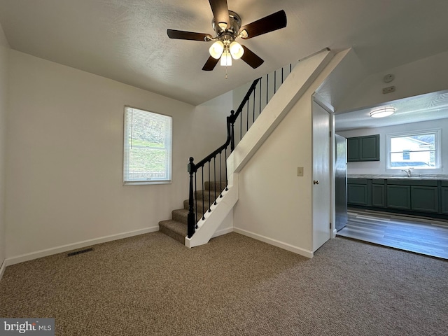 stairway with carpet floors, sink, a wealth of natural light, and ceiling fan