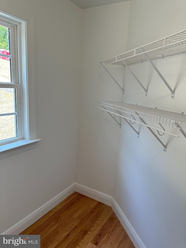 spacious closet with wood-type flooring