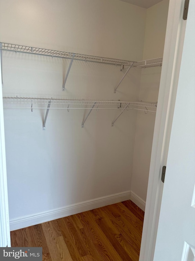 walk in closet featuring hardwood / wood-style floors