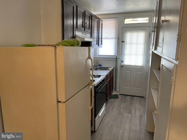 kitchen featuring sink, white appliances, dark brown cabinets, and light wood-type flooring