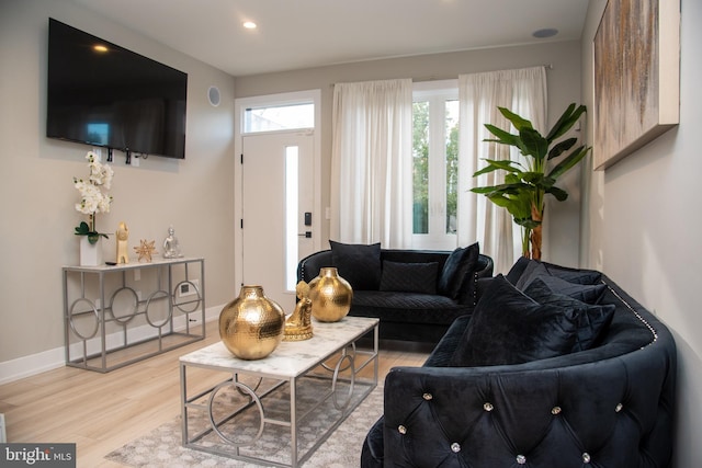 living room featuring light hardwood / wood-style floors