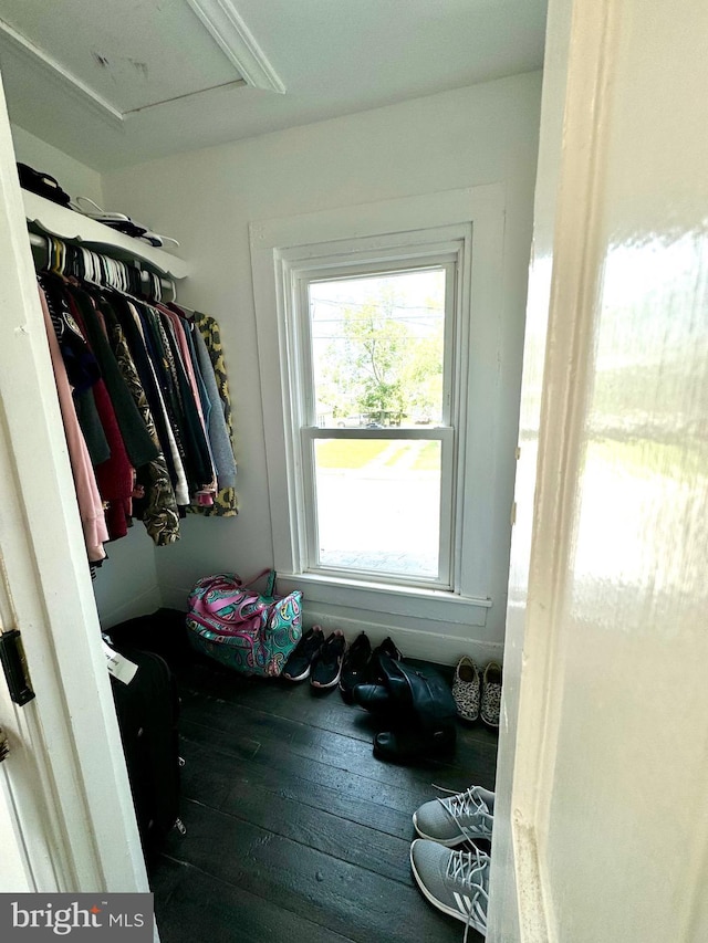 walk in closet featuring dark hardwood / wood-style flooring