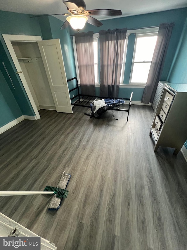 interior space featuring ceiling fan and wood-type flooring