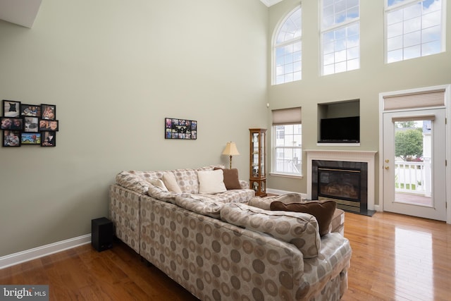 living room featuring hardwood / wood-style flooring and a high ceiling