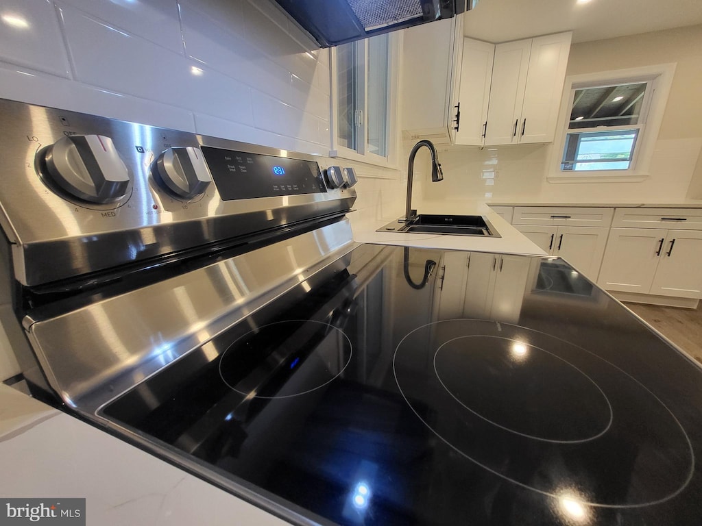 room details with sink, white cabinetry, and stainless steel electric range